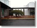 iris house 50.jpg